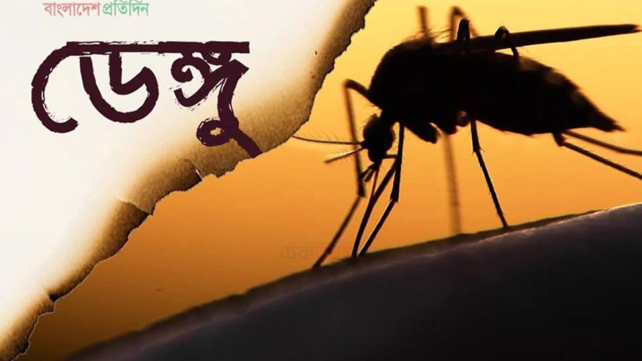 অক্টোবরে ডেঙ্গু ভয়াবহ, ৯ দিনে মৃত্যু অর্ধশত