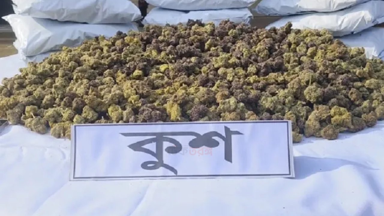 বাংলাদেশে ঢুকছে নতুন মাদক ‘কুশ’: কতটা বিপজ্জনক এই মাদক?