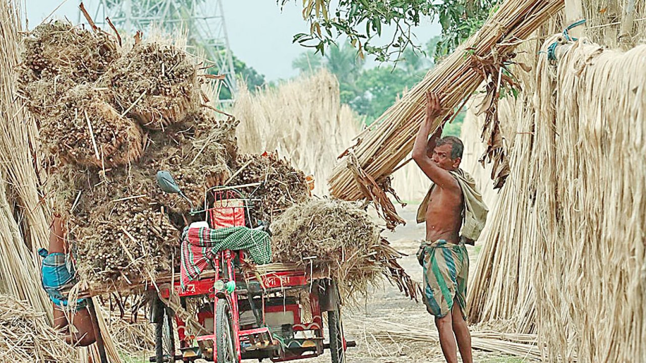 বায়ু দূষণ শুধু ঢাকার সমস্যা নয়, দেশের ব্যাপী উদ্বেগ