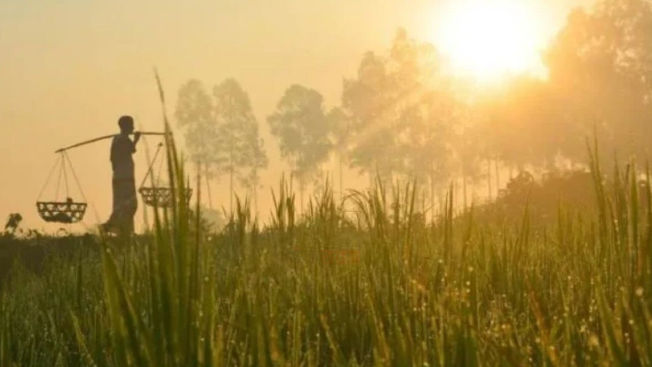 হেমন্তের ধূসর আকাশে হিমেল বাতাস তাপমাত্রা হ্রাস